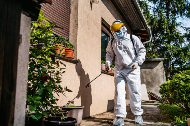 Best Insect Control  in Monfort Heights, OH