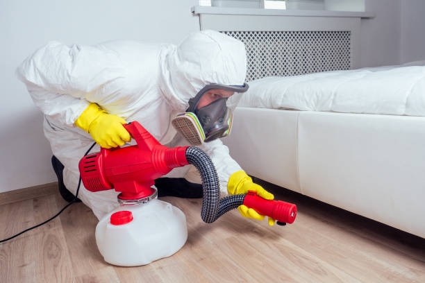 Best Spider Control Near Me  in Monfort Heights, OH