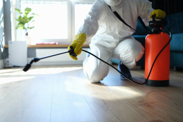 Best Affordable Pest Control Services  in Monfort Heights, OH