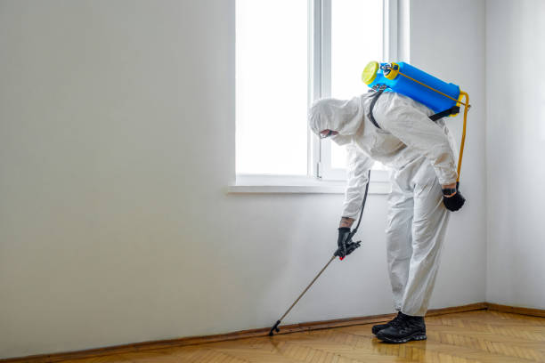 Best Best Pest Control Companies  in Monfort Heights, OH