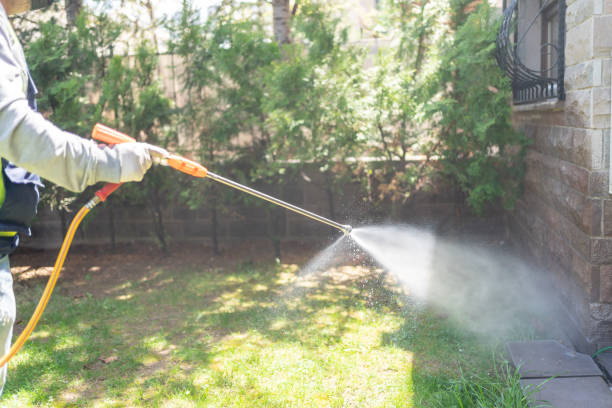 Wasp Removal Services in Monfort Heights, OH