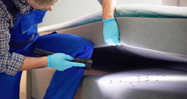 Best Mosquito Control Services  in Monfort Heights, OH