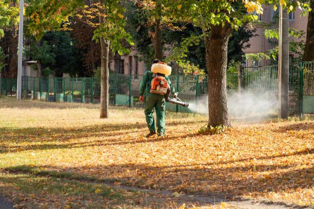 Best Bird Control  in Monfort Heights, OH