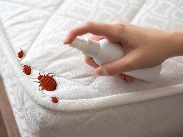 Reliable Monfort Heights, OH Pest Control Solutions