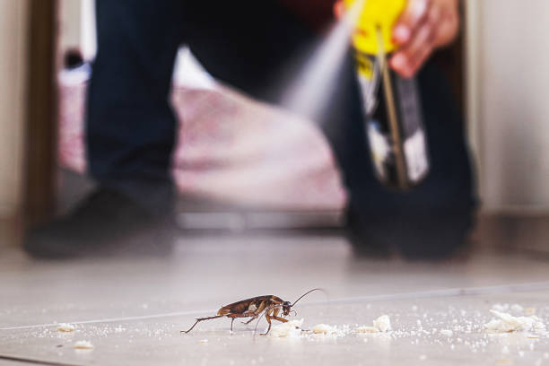 Best Ant Control Services  in Monfort Heights, OH