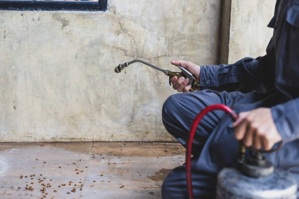Best Best Pest Control Companies  in Monfort Heights, OH